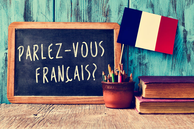 Online Frans leren