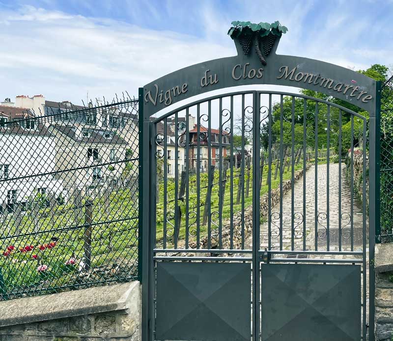 Wijngaard en wijnmakerij dichtbij de Sacré Coeur (inclusief adres)