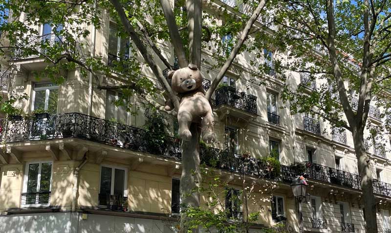 Niet alleen op terrasjes, de beren vind je zelfs in de bomen in Parijs!