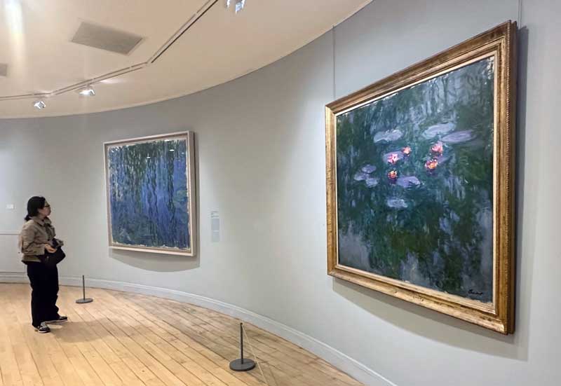 De Waterlelies van Monet in Parijs bekijken