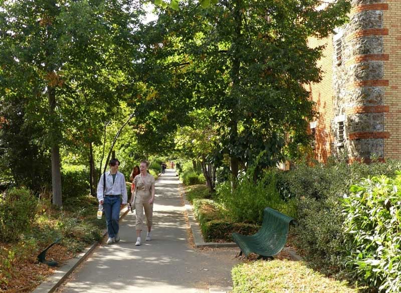 Voorheen was dit de Promenade Plantée
