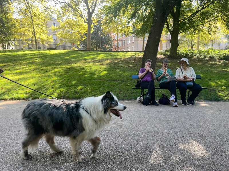 Parc des Buttes Chaumont, een geliefde plek voor Parijzenaren en ook honden komen hier graag.