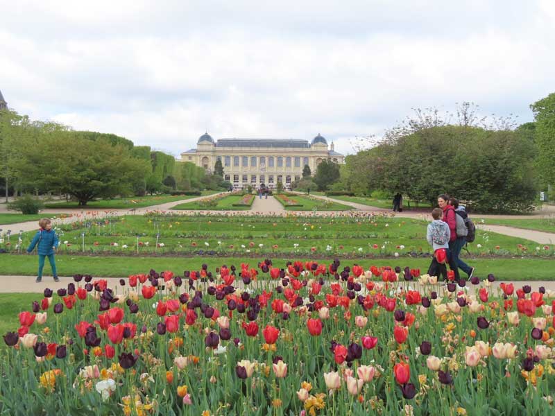 Jardin des Plantes in Parijs, een prachtige nationale botanische tuin