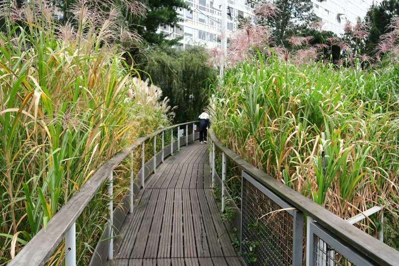 Verborgen tuin: Jardin Atlantique in Parijs